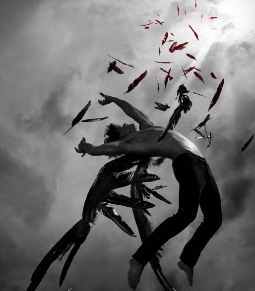 fallen-angel-fantasy-31060330-960-1098