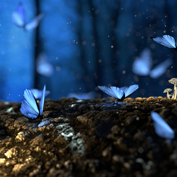 1B23D146-D40B-490E-8686-DC671BF65849